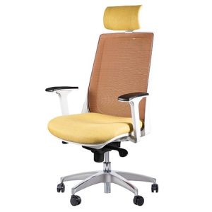 صندلی کارشناسی لیو مدل L-I81gspud